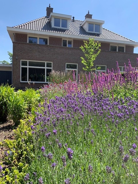 Ester van der Werf Ruim Zicht